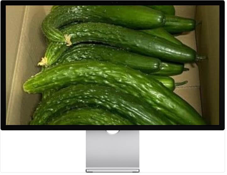 6시내고향 누리집 청년농부 창녕 가시오이