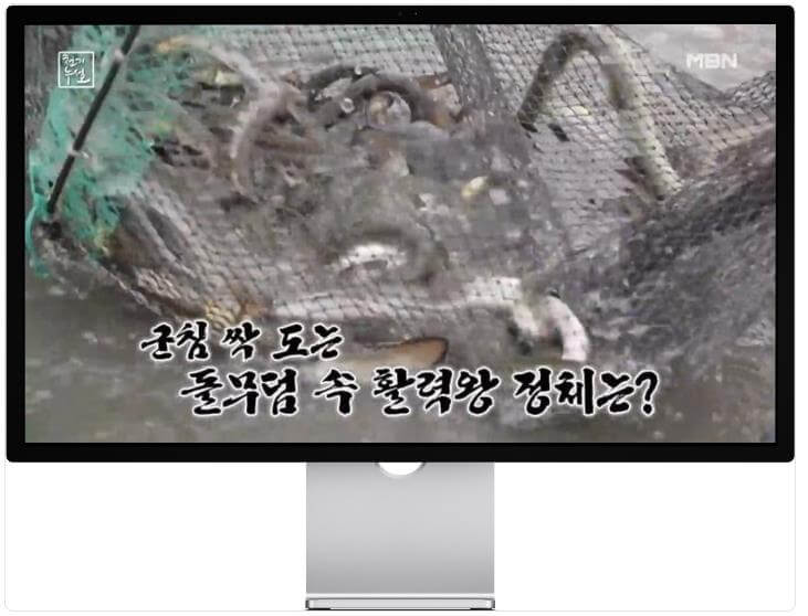 천기누설 방송된 고창 돌무덤 장어잡이