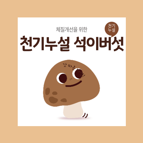 천기누설 석이버섯