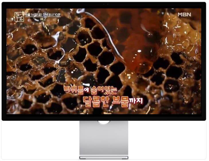 천기누설 석청