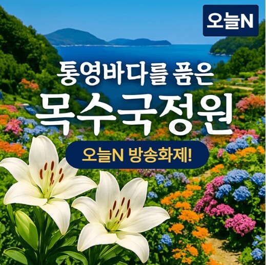 생방송오늘아침 여수 정원 꿈꾸는 정원 입장료 무료 완벽 가이드 4 오늘N 대한민국보물정원 목수국정원 썸네일