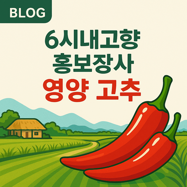 6시내고향 홍보장사 영양 고추가 특별한 이유? 캡사이신 5배의 충격 2 6시내고향 홍보장사 영양 고추 썸네일