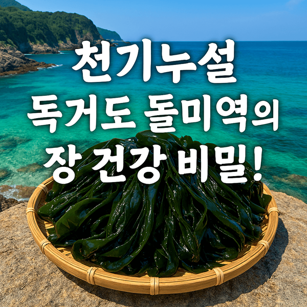 천기누설 독거도 돌미역, 의사들도 인정한 장건강 슈퍼푸드 3 천기누설 독거도 돌미역