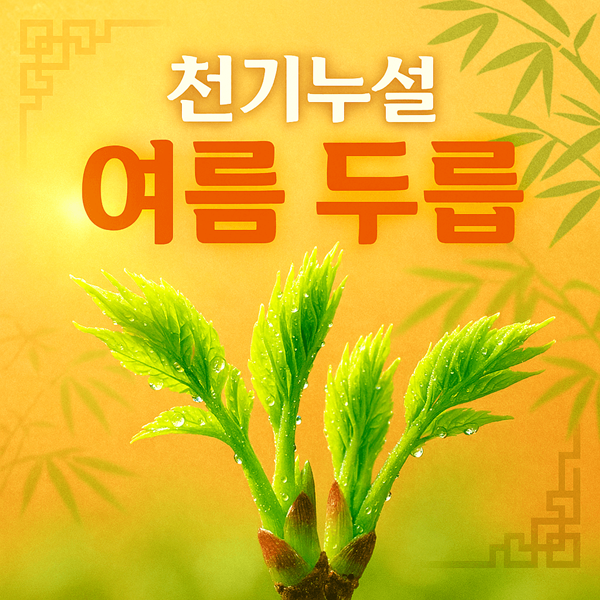 천기누설 여름 두릅