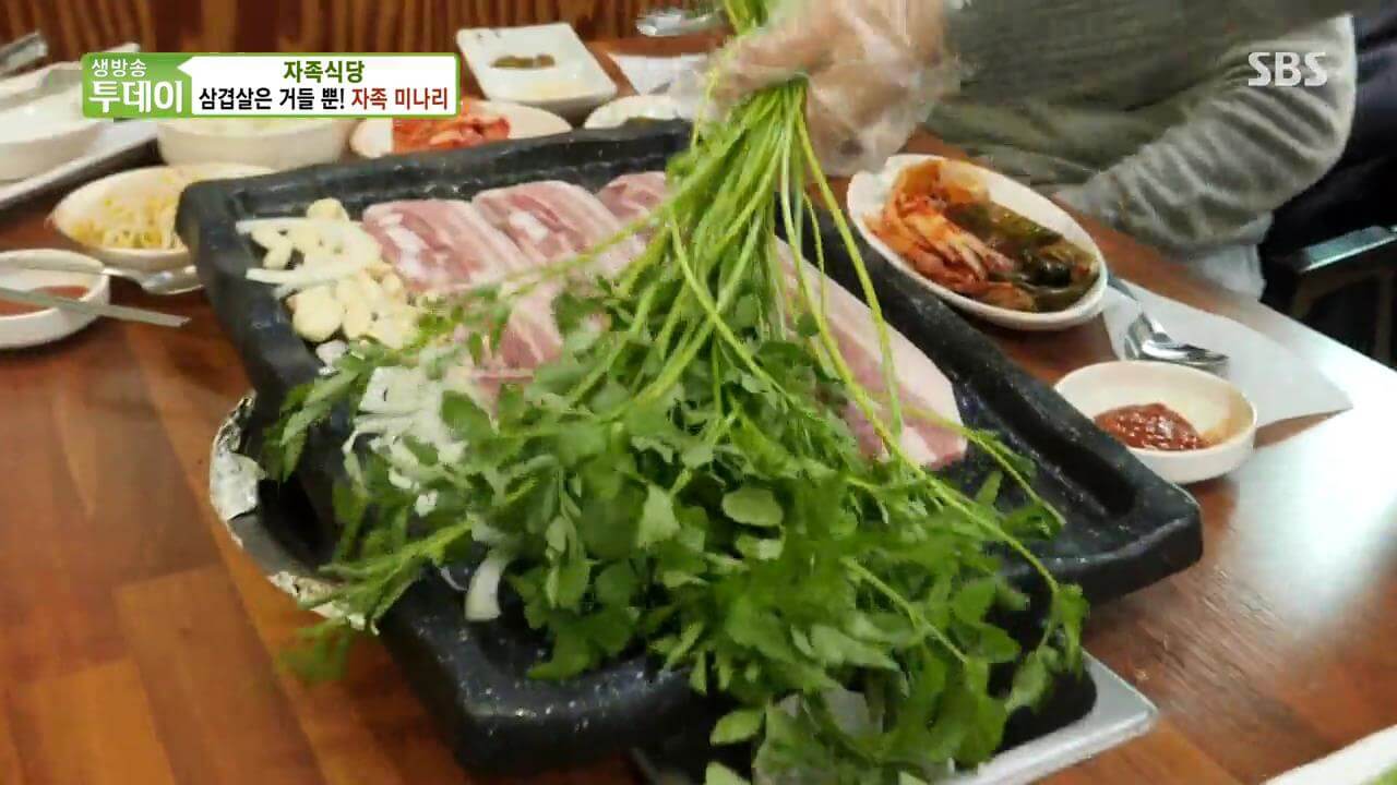 생방송투데이 살맛나는오늘 자족미나리 미나리해물전