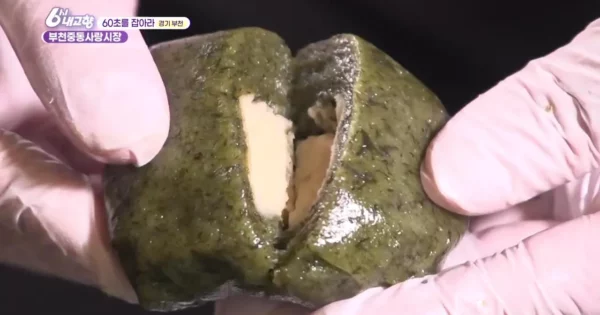6시내고향 공주 알밤찹쌀떡, 밤 한 알이 통째로 들어간 맛있는 찹쌀떡 4 6시내고향 부천중동시장 해풍쑥떡