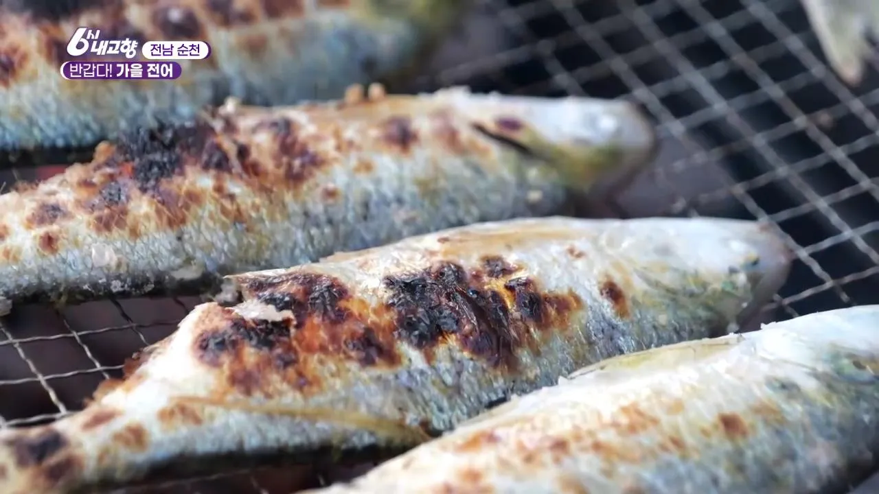 6시내고향 순천 전어