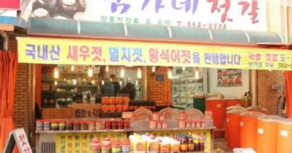 6시내고향 천안중앙시장 젓갈