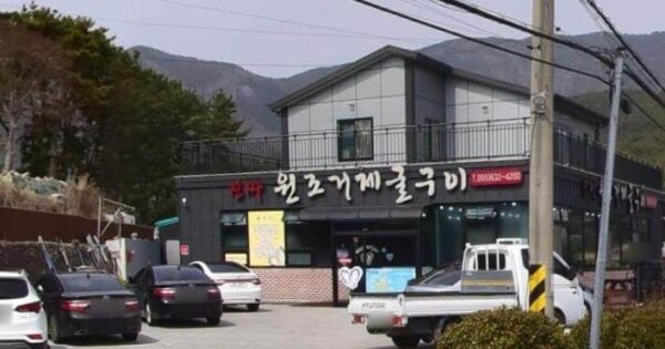 김석훈의 어 여기봐라 해남 닭코스요리한상 대박! 닭가슴살육회와 모래주머니회부터 주물럭 닭백숙까지 6 6시내고향 수요일엔 수산물 거제 굴
