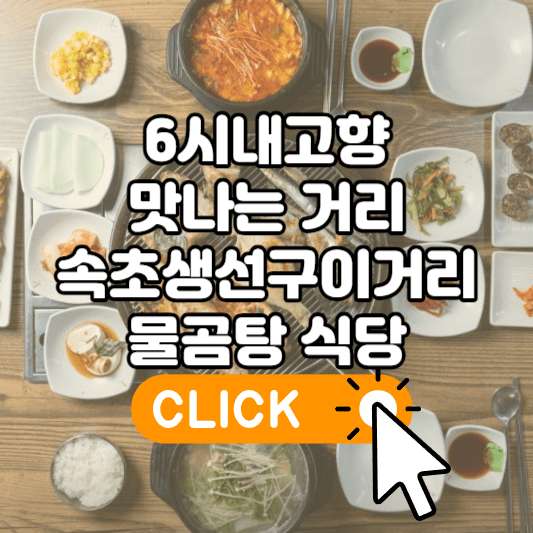 6시내고향 맛나는거리 속초생선구이거리 물곰탕