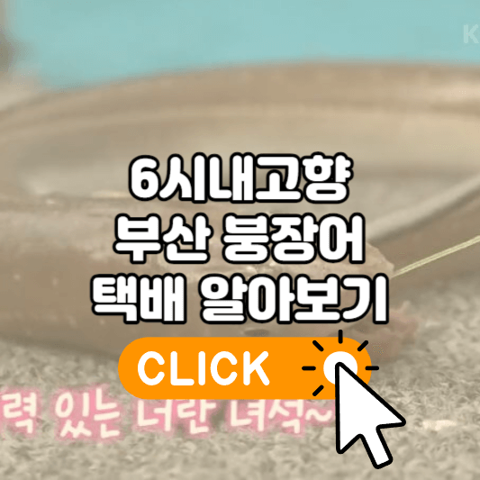 6시내고향 부산 붕장어