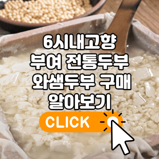 6시내고향 부여 전통두부 와샘두부