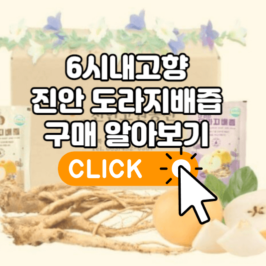 6시내고향 진안 도라지배즙