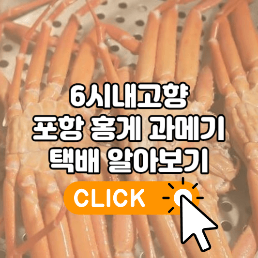 6시내고향 포항 홍게 과메기