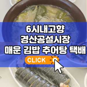 전현무계획2 진주 매운김밥 옥봉전문점 임수향 극찬 땡초김밥 맛집 3 6시내고향 경산공설시장 매운김밥 시래기추어탕