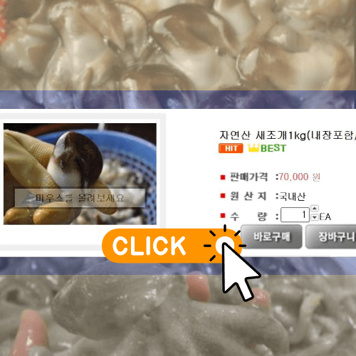 6시내고향 인생은 행복해 홍성 새조개 쭈꾸미