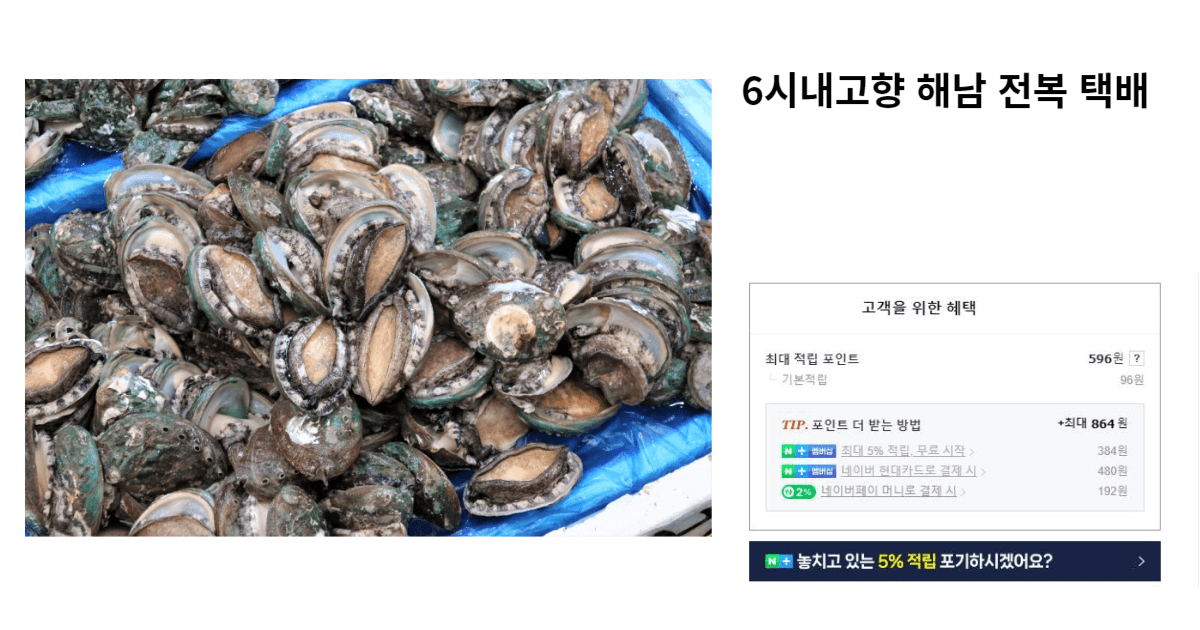 6시내고향 해남 전복