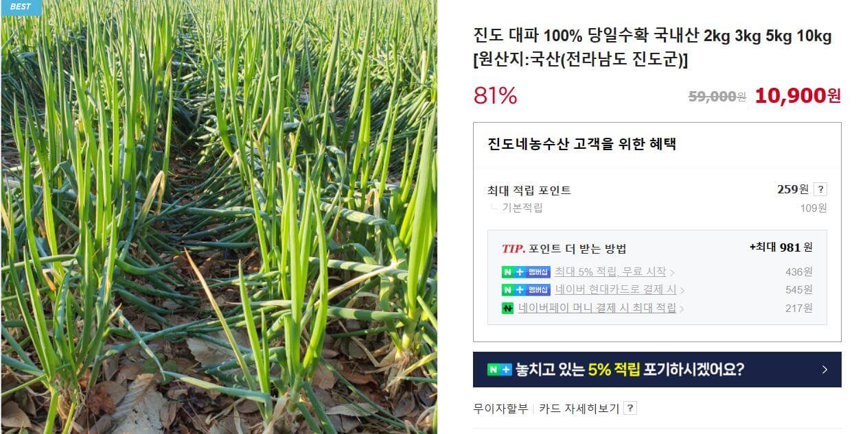 6시내고향 진도 대파 주문