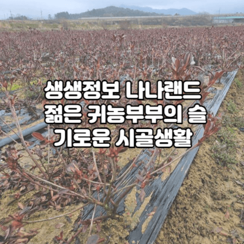 생생정보 나나랜드 젊은 귀농 부부의 슬기로운 시골 생활