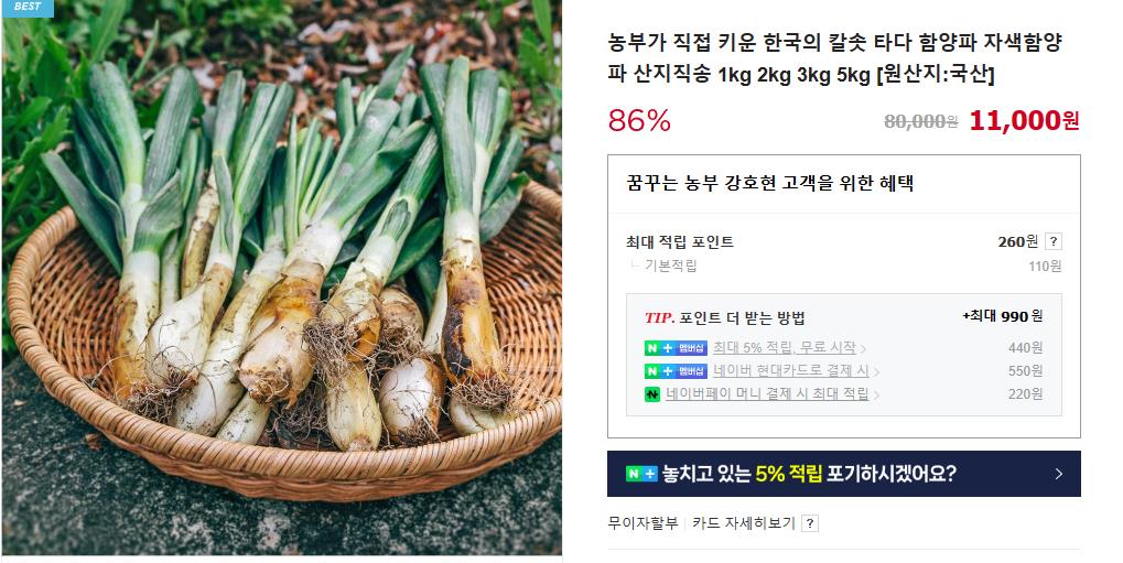 6시내고향 경남 함양파 구워먹는 파