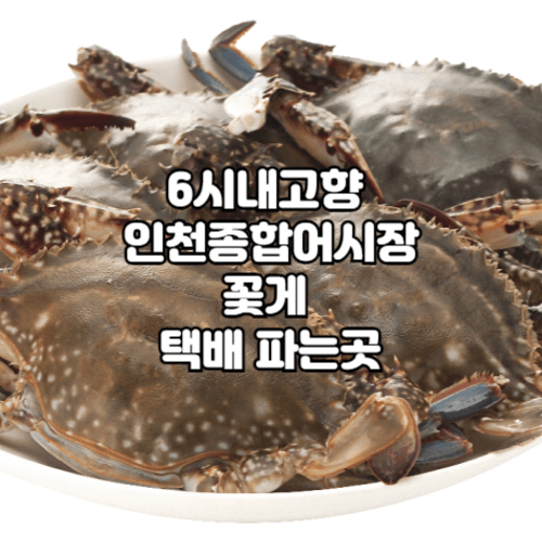6시내고향 인천종합어시장 꽃게