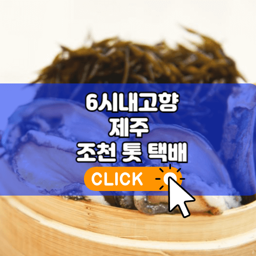 6시내고향 제주 조천 톳