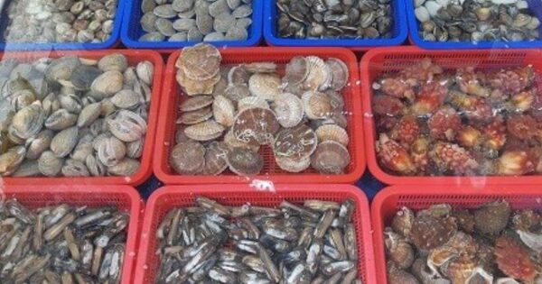 6시내고향 해운대전통시장 조개구이 88어장 맛집 완벽 가이드 4 6시내고향 태안서부시장 조개세트