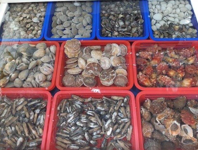 6시내고향 태안서부시장 조개세트