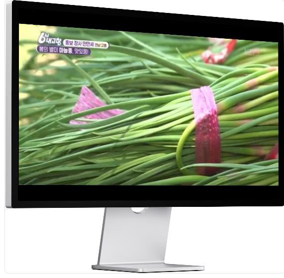 6시내고향 고흥 마늘종