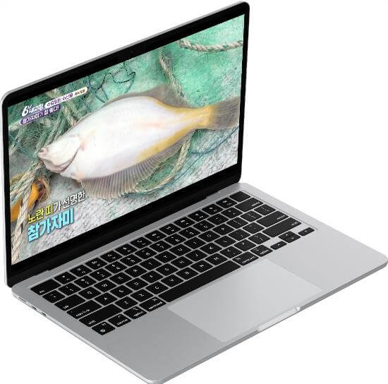 6시내고향 양산남부시장 반건조 참민어