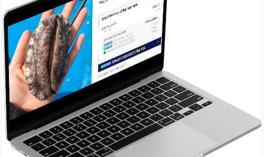 천기누설 독거도 돌미역, 의사들도 인정한 장건강 슈퍼푸드 6 6시내고향 인생은 행복해 완도 생일도 전복 미역