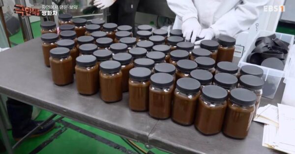 6시내고향 보성 쌍화차 맛집 행운다방! 쌍화탕처럼 진한 옛날 맛의 향수 3 극한직업 쌍화차