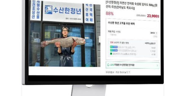 6시내고향 신안 민어회 맛집 하우리부일호횟집 완벽 가이드 임자도 민어 전문점 4 생방송투데이 연매출 3천만원 목포 20대 청년사장 민어회 홍어회
