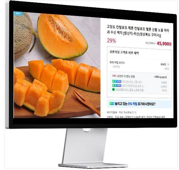 6시내고향 누리집 구미 칸탈로프 멜론