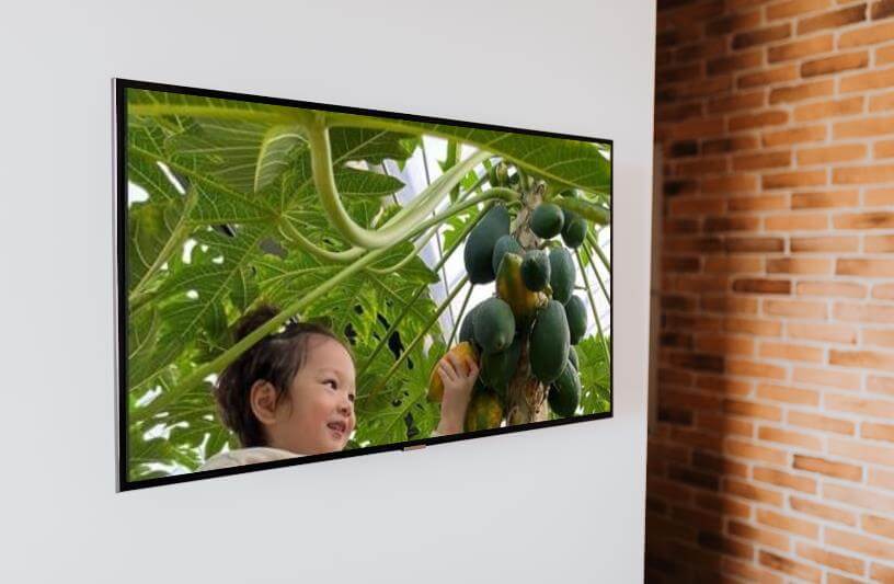 생방송오늘저녁 이색 열대 과일 농장