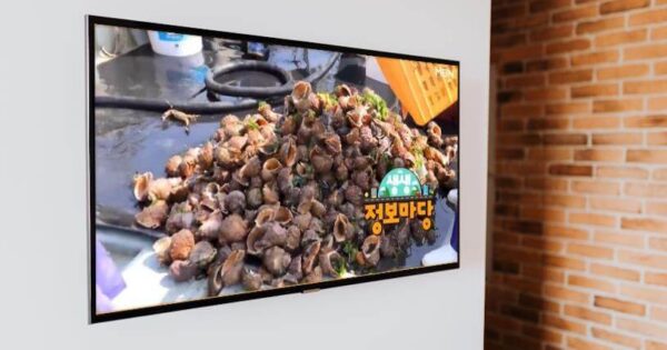 6시내고향 화성 피뿔고둥 맛집 대공개! 궁평항에서 만나는 신선한 해산물 5 생생정보마당 나는 자연산이다 참소라