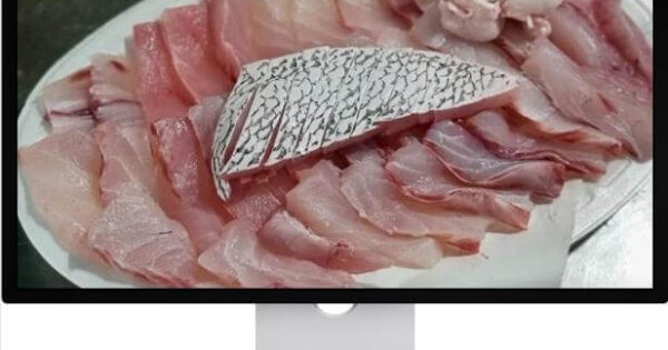 한국인의 밥상 고성 갯장어 여름 보양식 갯장어곰국 맛집 정보 5 6시내고향 누리집 목포자유시장 민어회