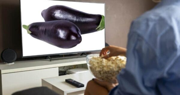 6시내고향 여주 가지 특집 완벽정리 내고향스페셜 방송내용 3 6시내고향 누리집 홍보장사 여주 가지
