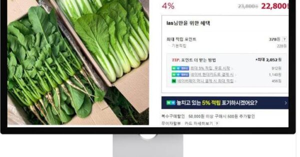 굿모닝대한민국 포천 열무, 사계절 청년농부가 키운 특별한 맛의 비밀 6 6시내고향 누리집 홍보장사 포천 열무