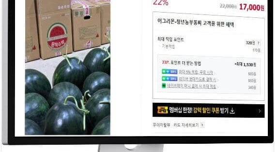 6시내고향 고창 블랙망고수박 방송 후 품절 대란! 놓치면 후회하는 망고 같은 노란 수박의 5가지 매력 5 생방송투데이 구례 흑수박
