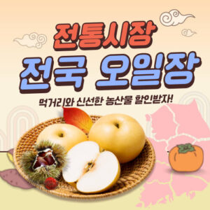 6시내고향 평창 용구니700굴비 완벽 가이드 내고향스페셜 허민 육시투어 4 전국 오일장
