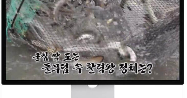생방송투데이 15년 대물장어 만우정에서 이정후 선수도 먹었다는 그 맛 4 천기누설 방송된 고창 돌무덤 장어잡이