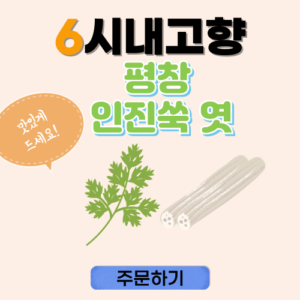 6시내고향 횡성 태기산 무도라지청 펜션 내고향스페셜 청산에 살리라 5 6시내고향 누리집 평창 인진쑥엿 썸네일