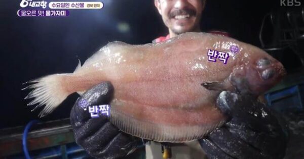 6시내고향 인생은 행복해 통영 우도 민박펜션, TV 속 풍경 그대로! 4 6시내고향 인생은 행복해 삼척 퉁수 물가자미 썸네일