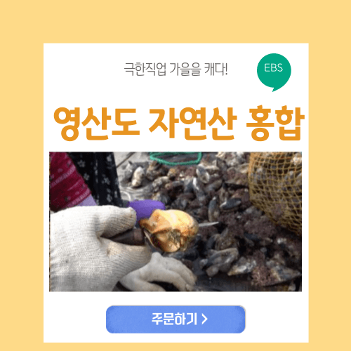 영산도의 극한직업 자연산 홍합 썸네일