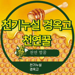 적송솔잎의 모든 것 솔잎농축액으로 혈당관리와 면역력 강화하는 방법 6 천기누설 경옥고 천연꿀 썸네일