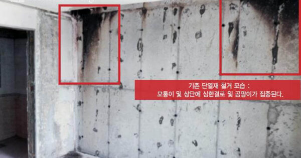 생생정보 곰팡이 사냥꾼