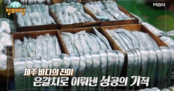 KBS 6시내고향 여수 갈치 특집! 피싱도시어부 루키나호 완벽 가이드 4 생생정보마당 은갈치