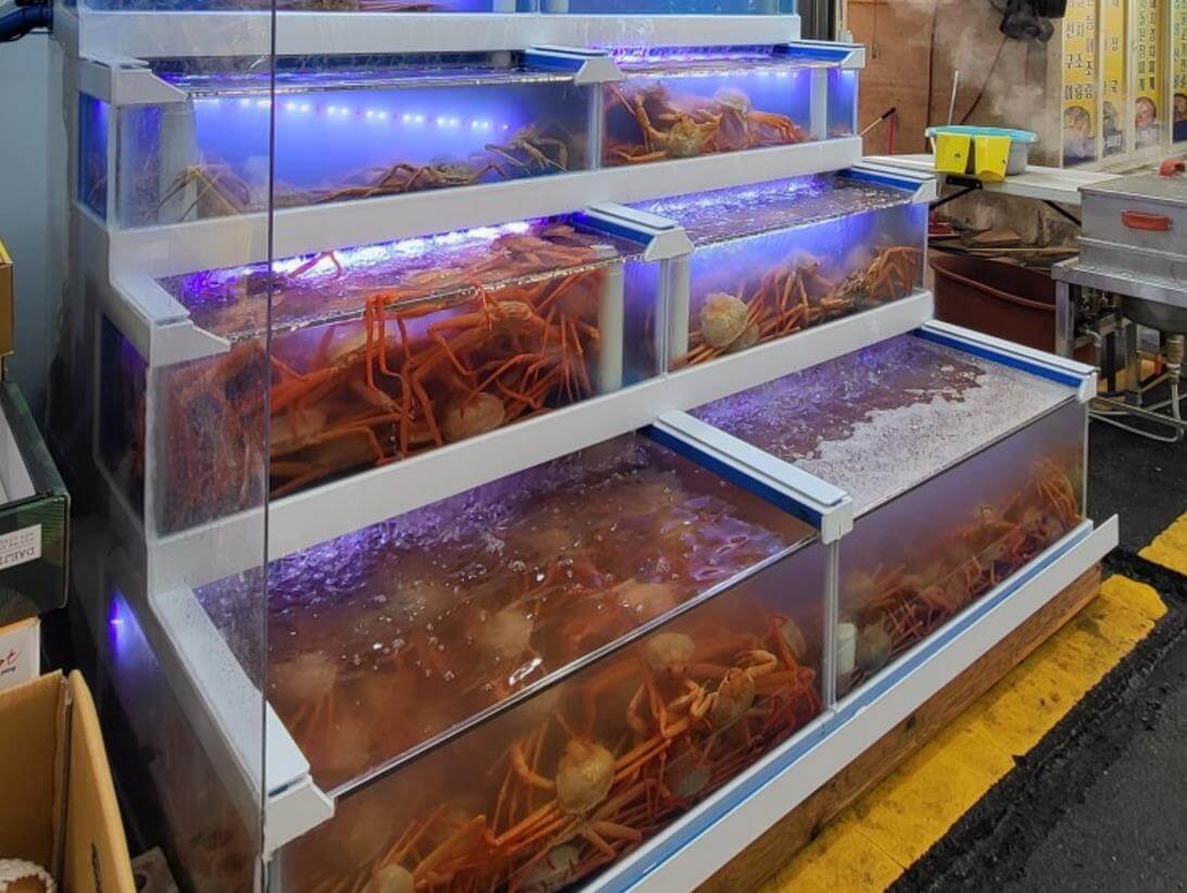 6시내고향 포항구룡포시장 홍게