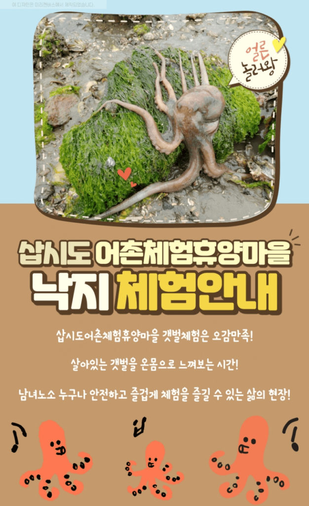 생방송투데이 김피디가 떴다 가을낙지 썸네일